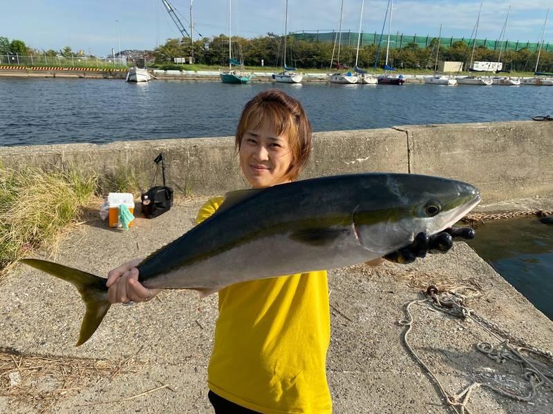 伊勢湾のジギングで釣れたブリ・ワラサなどの青物